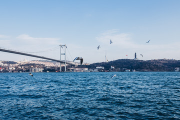 Bosphorus Bridge in the rays of the setting sun. Incredible view of Istanbul Bosphorus and seagulls and a large tanker passing the bridge over the sea.