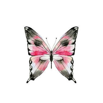 Watercolor pink butterfly for logo