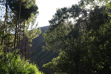 Obraz premium complementos