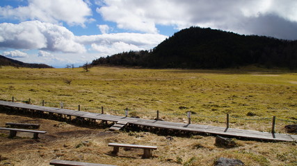 Fototapeta na wymiar Hiking trail in Japanese plateau Bog
