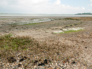 Beautiful harbour landscape scene outside summer bar coast
