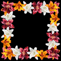 Beautiful floral pattern of white, orange and burgundy lilies. Isolated
