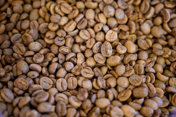 Coffee bean roasted coffee bean raw