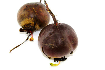 Two beets on white background fresh, clean, washed, untreated for cooking