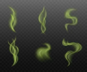 Foto op Canvas Set of green smoke clouds on transparent background, realistic vapor steam collection in curvy motion shapes © sabelskaya