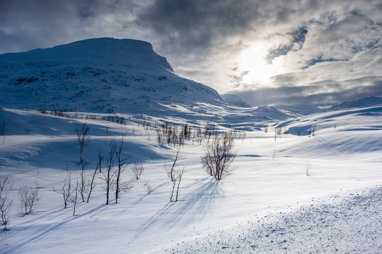 Winter landscape, Abisko National Park, Swedish Lapland, Kiruna, Sweden