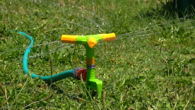 Water Sprinkler Irrigation on Grass