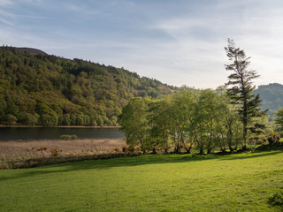 Amazing green Irish grasslands in the Wicklow Mountains - travel photography