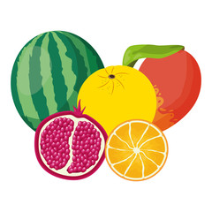 tropical fruits design