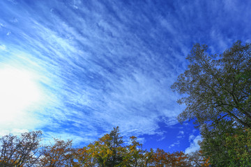 The Sky of Osaka