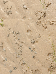 Beautiful harbour landscape scene outside summer bar coast