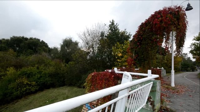 Autumnal impressions from Berlin Spandau on the gravel pond (Am Kiesteich) of October 21, 2016, Germany
