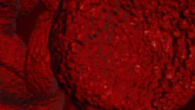 Red blood cells Use as a medical illustration is a 3d image and the word is written.