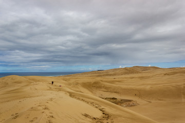 Fototapeta na wymiar Giant sand dunes at Te-Paki on the 90 Mile beach in Northland New Zealand