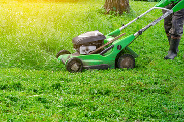 Obraz premium Lawn mower mows the grass in the park. Landscape design, garden work