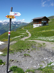 スイス風景　山小屋と標識