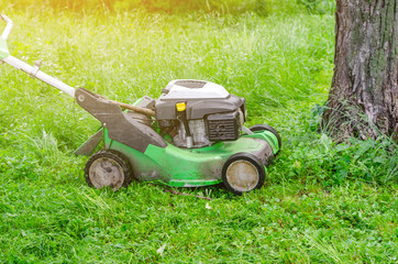 Lawn mower mows the grass in the park. Landscape design, garden work