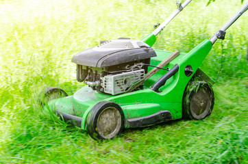 Lawn mowing petrol lawn mower in the park. Upgrading the territories. Landscape design, garden work