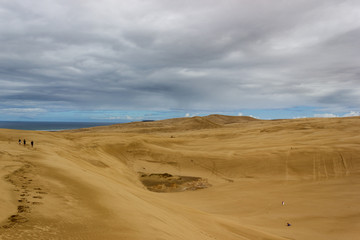 Giant sand dunes at Te-Paki on the 90 Mile beach in Northland New Zealand