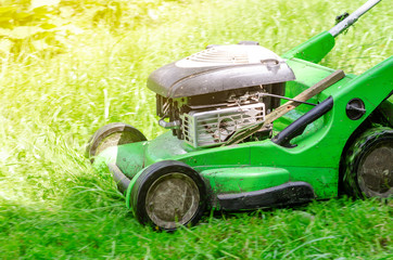 Lawn mowing petrol lawn mower in the park. Upgrading the territories. Landscape design, garden work