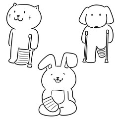 vector set of animal use orthopedic cast
