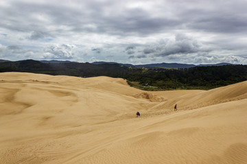 Fototapeta na wymiar Giant sand dunes at Te-Paki on the 90 Mile beach in Northland New Zealand
