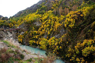 Fototapeta na wymiar Gorgeous scene of beautiful autumn season with colorful change of yellow leaves tree on mountains background, New Zealand landscape.