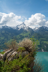 Aussichtspunkt mit Panorame auf Berge und See