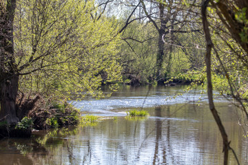 Fototapeta premium Idylle an der Haidenaab