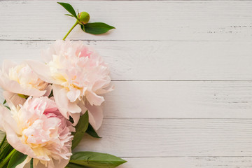 Romantic bouquet of peonies on light wooden background with copyspace