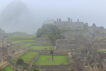 machu picchu covered in morning fog