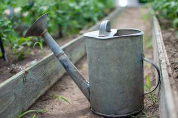 metal watering can on the bed