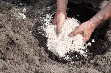 man fertilizes the soil with his hands