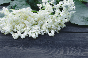 White elderberry flowers and leaves from the garden on a rustic wooden background. There is a place...