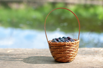 Fototapeta na wymiar basket of berries by the river