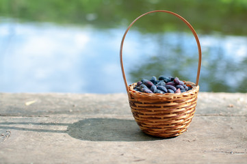Fototapeta na wymiar basket of berries by the river