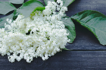White elderberry flowers and leaves from the garden on a rustic wooden background. There is a place...