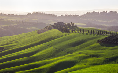 Fototapeta na wymiar green fields and hills in Tuscany