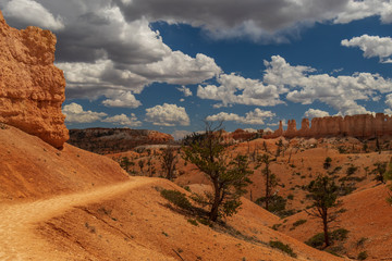 Hiking trail at Bryce Canyon National Park, Utah, USA