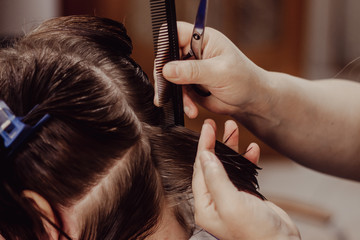 Fototapeta premium hairdresser cutting hair