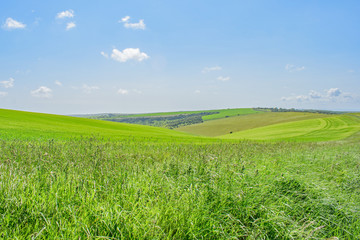 The rolling sloping hills of Ditchling beacon,England