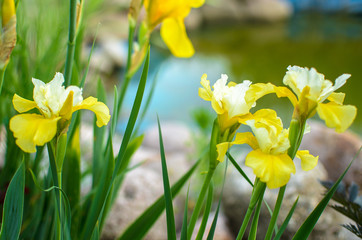  wonderful world around us