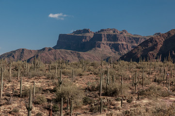 Desert Mountains