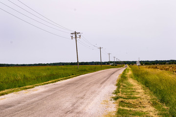 Fototapeta na wymiar a lonely midwestern country road lined with telephone poles
