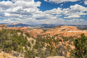 Fototapeta premium Bryce Canyon National Park, Utah, USA