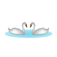 Two swans on the lake. Vector illustration  isolated background