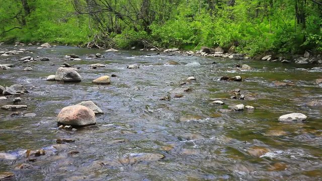 rivi&egrave;re