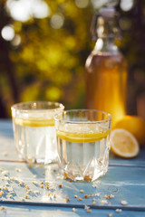 Two glasses of elderflower lemonade and bottle of homemade syrup