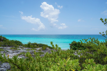  Tulum beach at Caribbean sea, Riviera Maya, Quintana Roo, Mexico                              