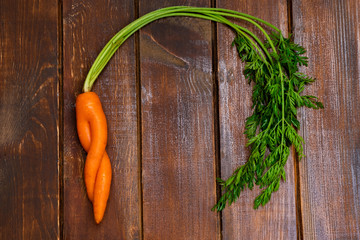 Ugly organic carrot on wooden background. Image with copy space, top view.